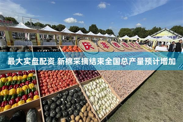 最大实盘配资 新棉采摘结束全国总产量预计增加