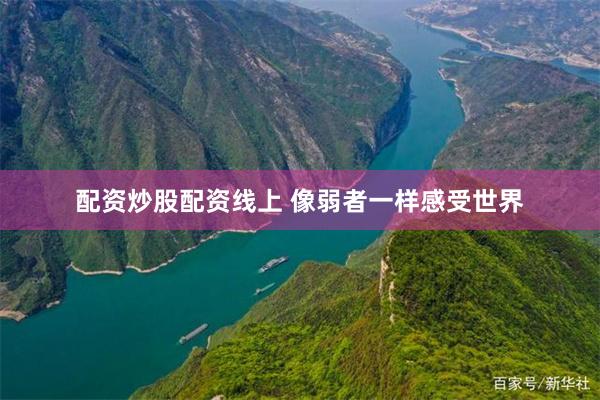 配资炒股配资线上 像弱者一样感受世界