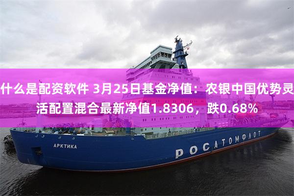 什么是配资软件 3月25日基金净值：农银中国优势灵活配置混合最新净值1.8306，跌0.68%