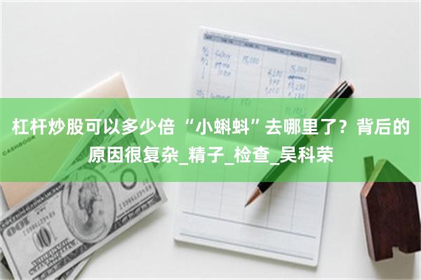 杠杆炒股可以多少倍 “小蝌蚪”去哪里了？背后的原因很复杂_精子_检查_吴科荣