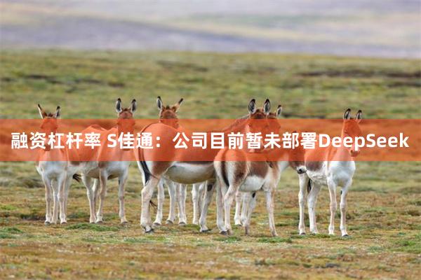 融资杠杆率 S佳通：公司目前暂未部署DeepSeek
