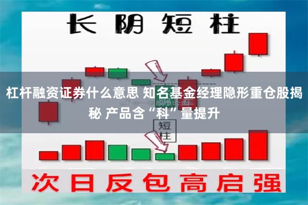 杠杆融资证券什么意思 知名基金经理隐形重仓股揭秘 产品含“科”量提升