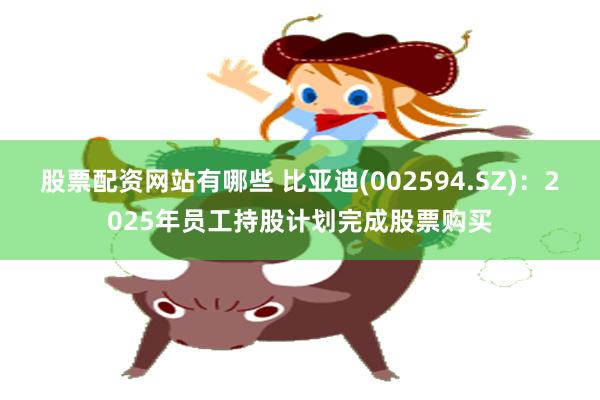 股票配资网站有哪些 比亚迪(002594.SZ)：2025年员工持股计划完成股票购买
