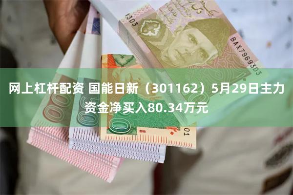 网上杠杆配资 国能日新（301162）5月29日主力资金净买入80.34万元
