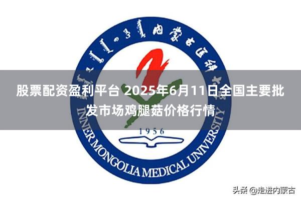 股票配资盈利平台 2025年6月11日全国主要批发市场鸡腿菇价格行情