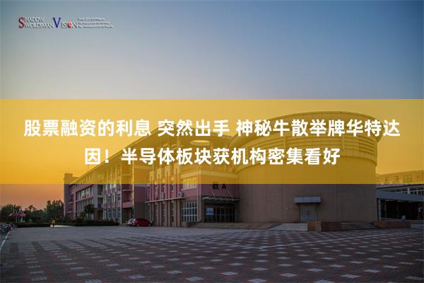 股票融资的利息 突然出手 神秘牛散举牌华特达因！半导体板块获机构密集看好