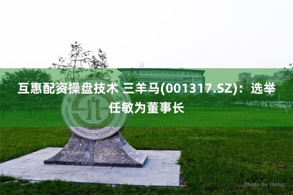 互惠配资操盘技术 三羊马(001317.SZ)：选举任敏为董事长