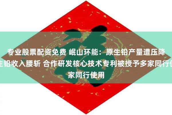 专业股票配资免费 岷山环能：原生铅产量遭压降再生铅收入腰斩 合作研发核心技术专利被授予多家同行使用