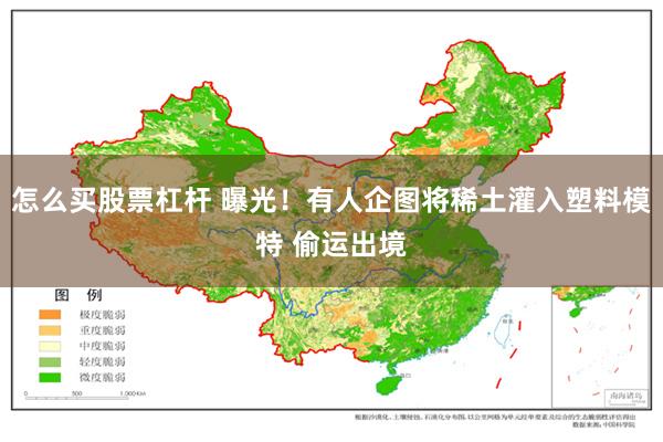 怎么买股票杠杆 曝光！有人企图将稀土灌入塑料模特 偷运出境