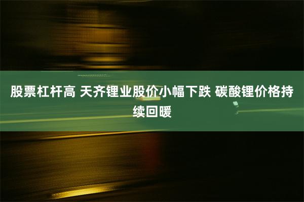 股票杠杆高 天齐锂业股价小幅下跌 碳酸锂价格持续回暖
