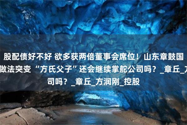 股配债好不好 欲多获两倍董事会席位！山东章鼓国资股东今年做法突变 “方氏父子”还会继续掌舵公司吗？_章丘_方润刚_控股