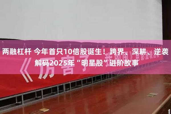 两融杠杆 今年首只10倍股诞生！跨界、深耕、逆袭 解码2025年“明星股”进阶故事