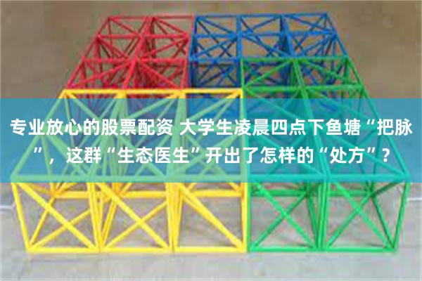 专业放心的股票配资 大学生凌晨四点下鱼塘“把脉”，这群“生态医生”开出了怎样的“处方”？
