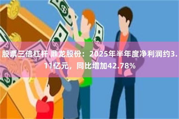 股票三倍杠杆 鼎龙股份:2025年半年度净利润约3.11亿元,同比增加42.78%