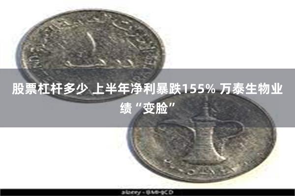 股票杠杆多少 上半年净利暴跌155% 万泰生物业绩“变脸”