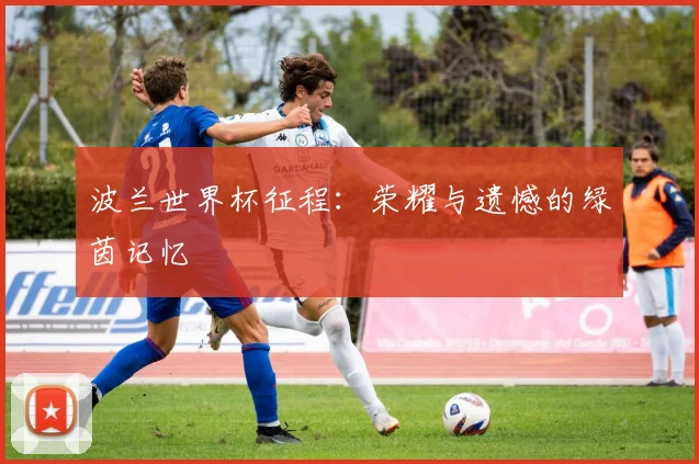 波兰世界杯征程：荣耀与遗憾的绿茵记忆