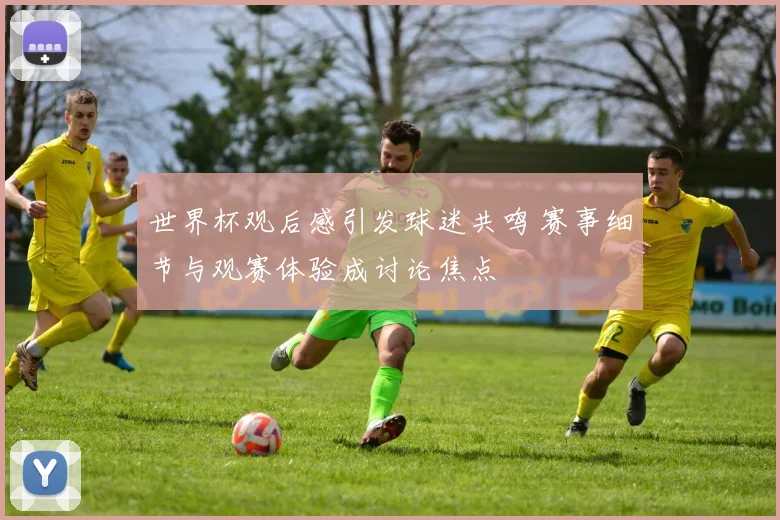世界杯观后感引发球迷共鸣 赛事细节与观赛体验成讨论焦点