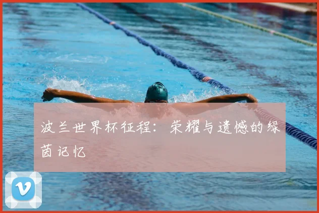 波兰世界杯征程：荣耀与遗憾的绿茵记忆
