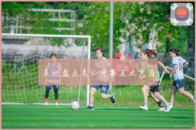 美巡盘点美公开赛五大黑马