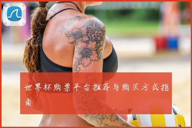 世界杯购票平台推荐与购买方式指南