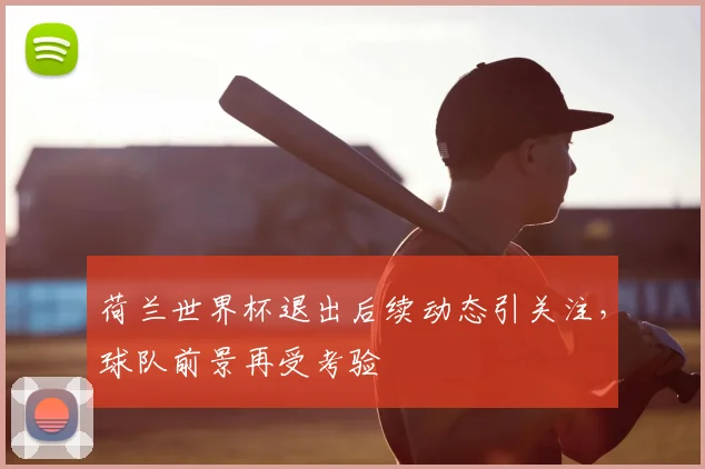 荷兰世界杯退出后续动态引关注，球队前景再受考验