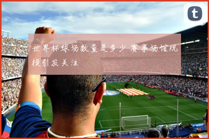 世界杯球场数量是多少 赛事场馆规模引发关注
