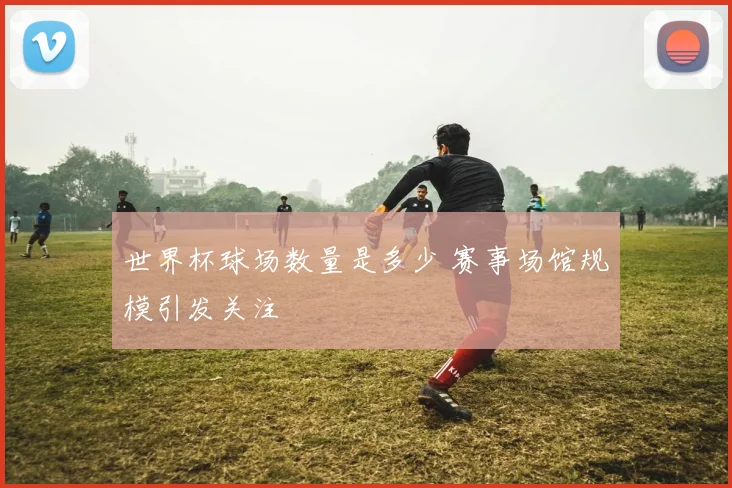 世界杯球场数量是多少 赛事场馆规模引发关注