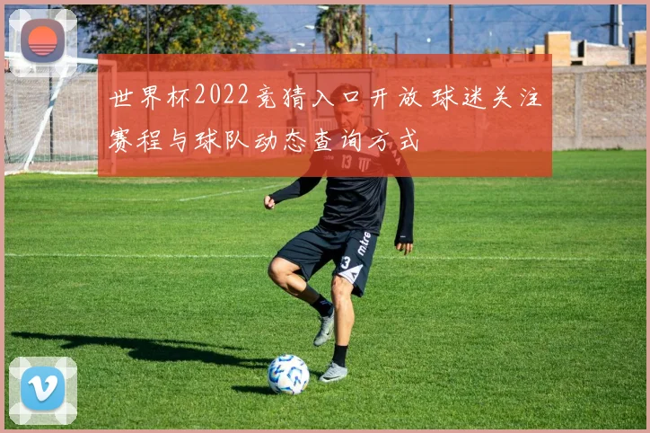 世界杯2022竞猜入口开放 球迷关注赛程与球队动态查询方式