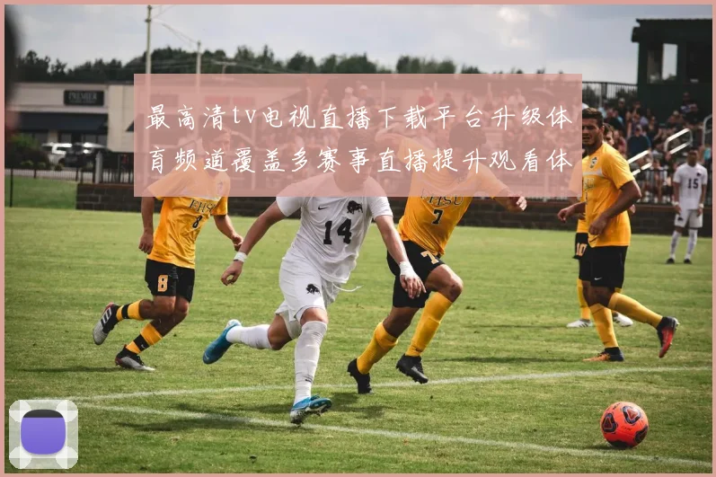最高清tv电视直播下载平台升级体育频道覆盖多赛事直播提升观看体验